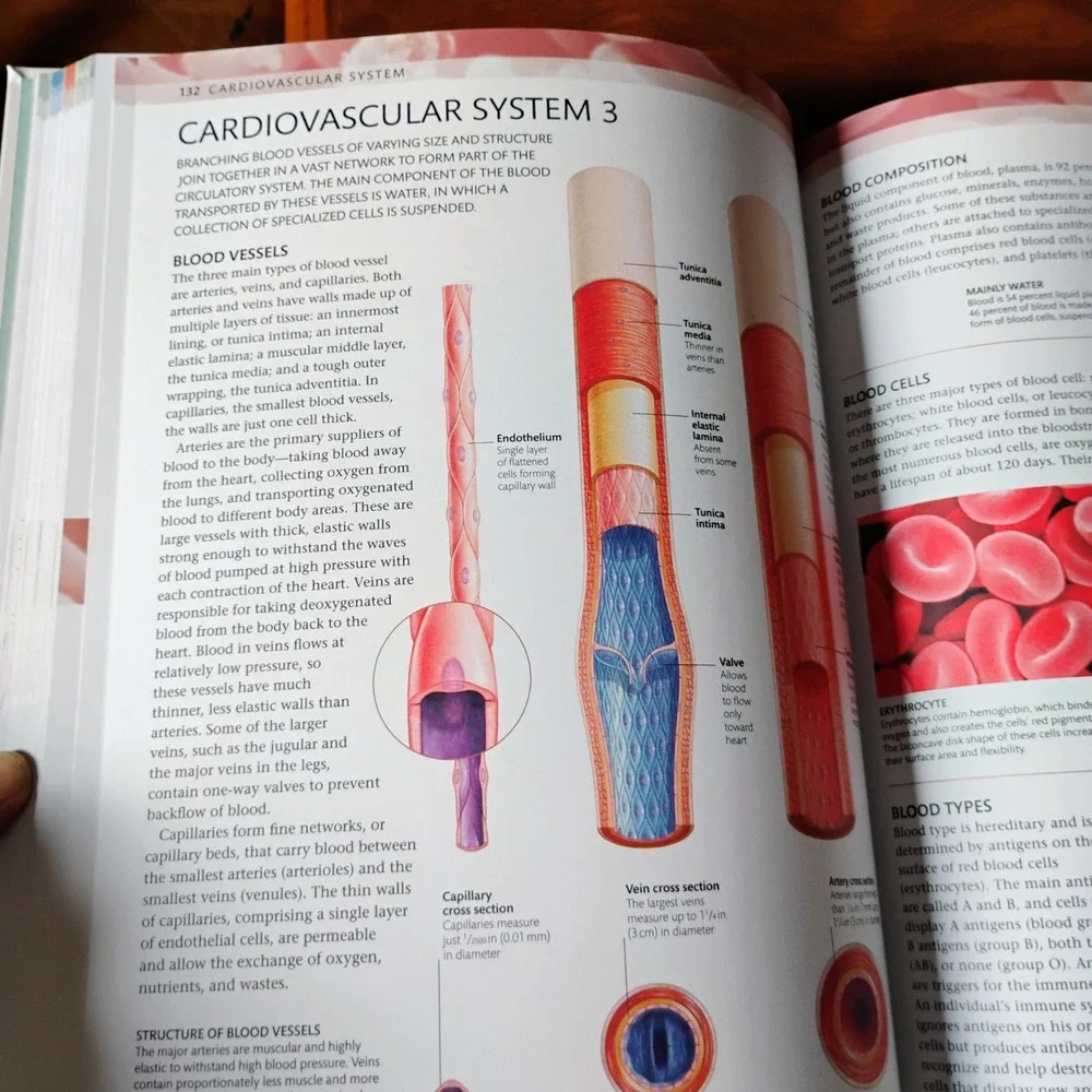 Dkode human body